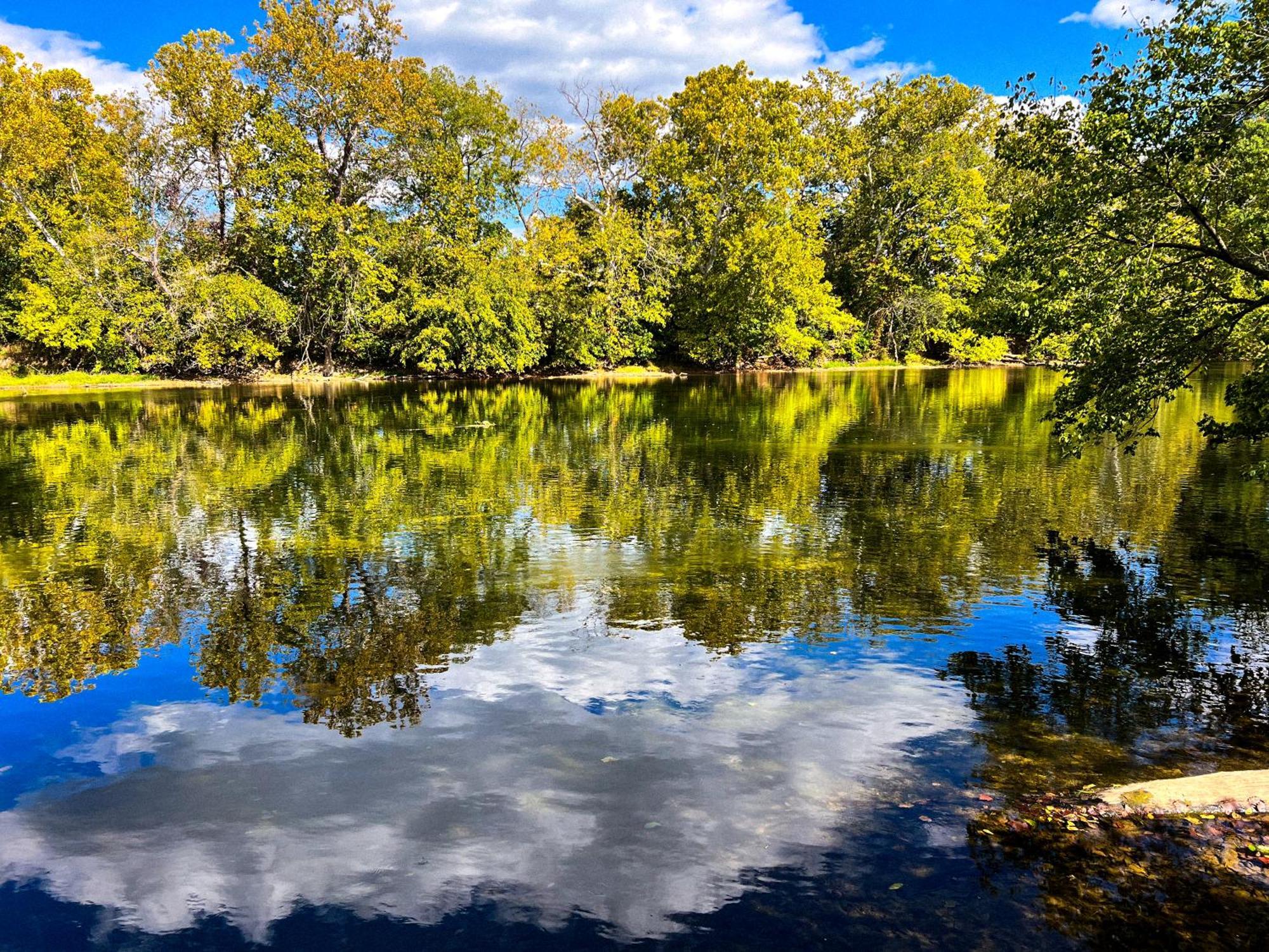 Luray Rv Resort On Shenandoah River Buitenkant foto