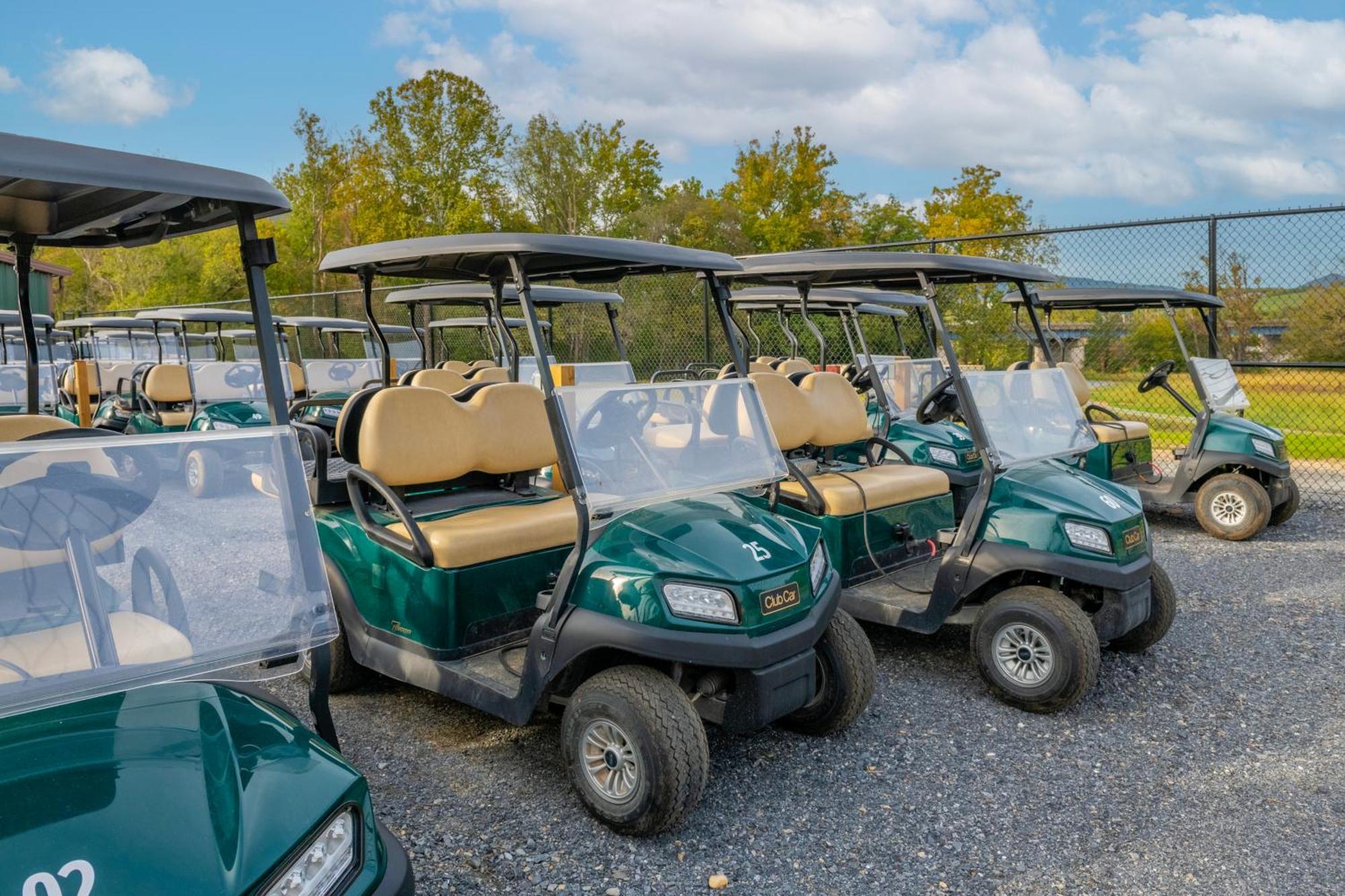 Luray Rv Resort On Shenandoah River Buitenkant foto